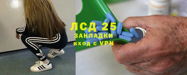 ПСИЛОЦИБИНОВЫЕ ГРИБЫ Вязьма
