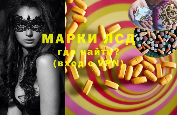 ПСИЛОЦИБИНОВЫЕ ГРИБЫ Вязьма