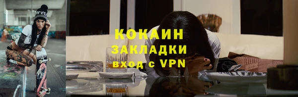 ПСИЛОЦИБИНОВЫЕ ГРИБЫ Вязьма